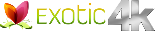 Exotic4K Black Friday sale